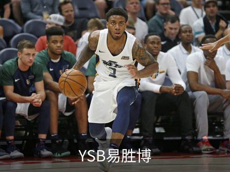 了解YSB易胜博